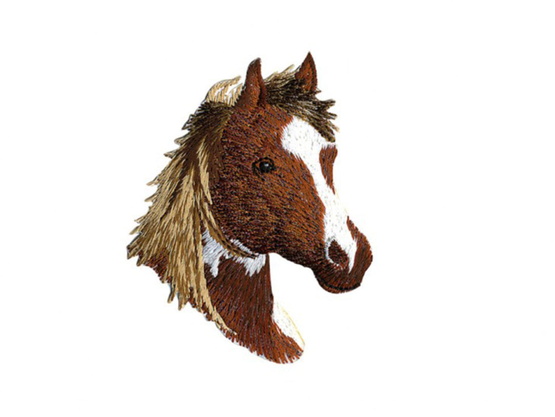 Applikation-pferdkopf3xYjdWJKqidhT