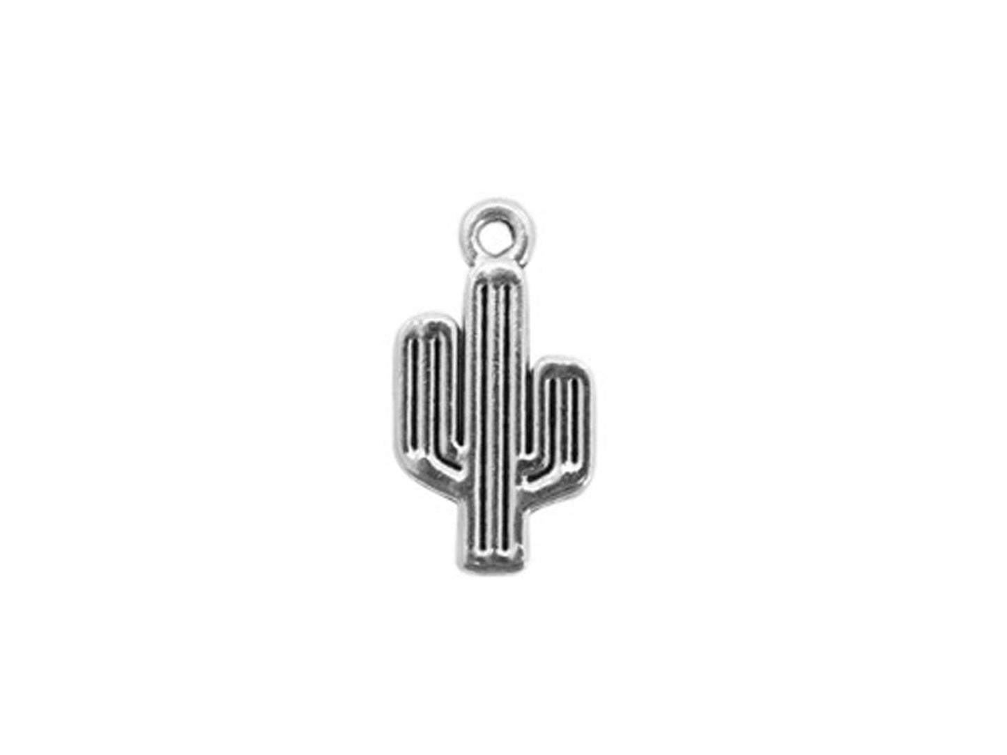 anhaenger-charm-kaktus-25x13mm-silber