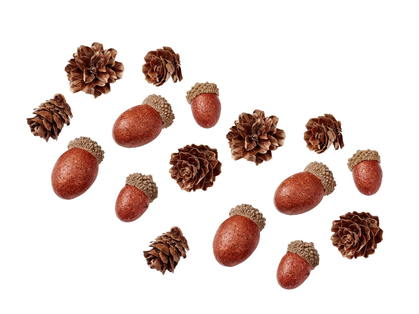 eicheln-und-zapfen-je-10-stueck-hobbyfun-3865587