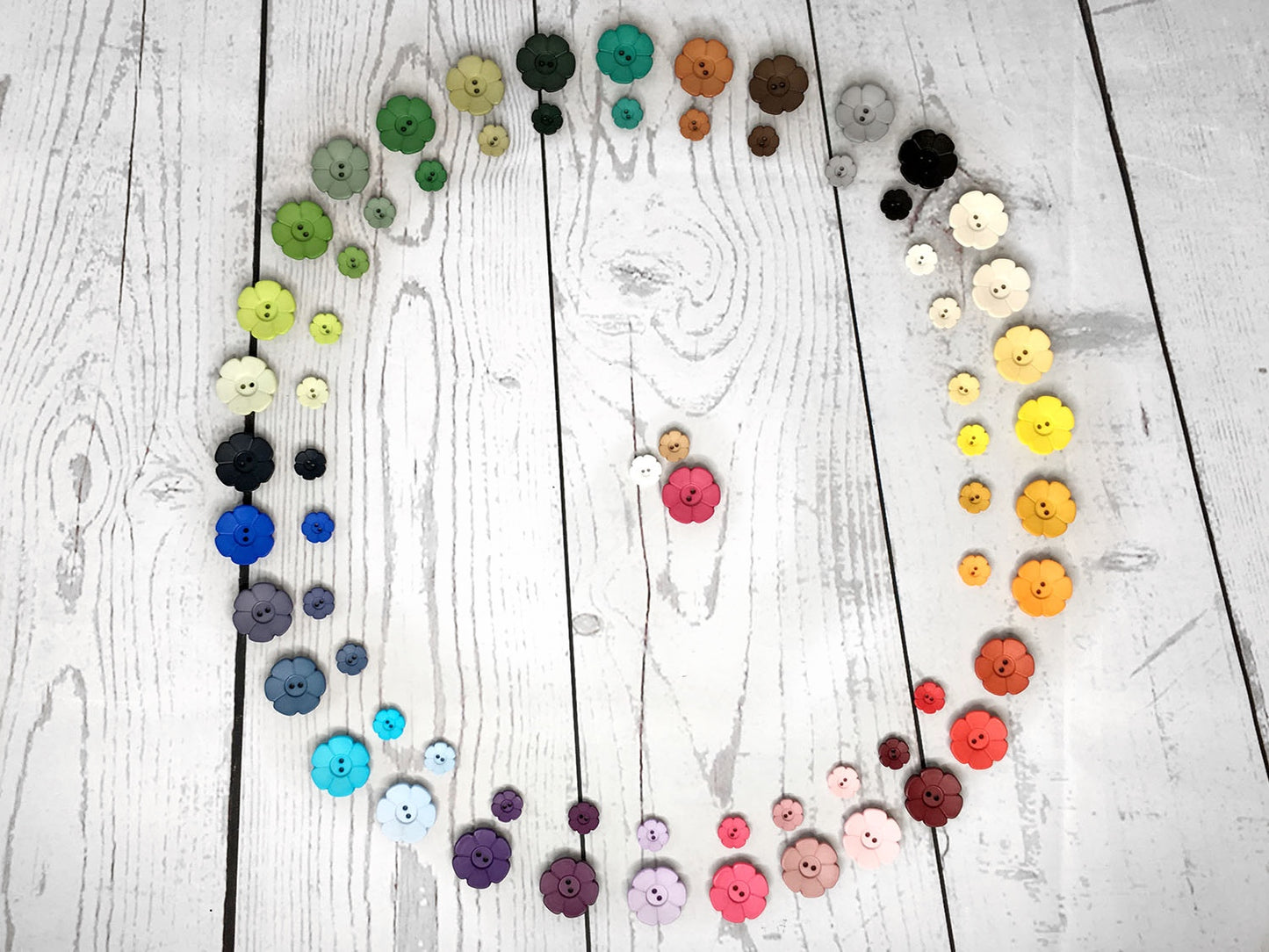 knopf-blume-dill-15-mm-28-mm-verschiedene-farben