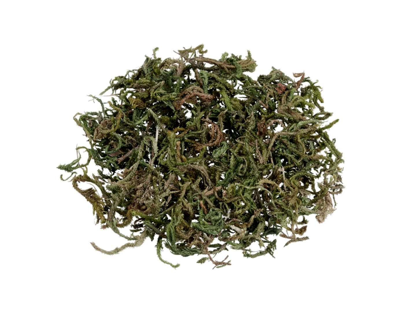 moos-hellgruen-btl-20-gr-hooyfun-3865355