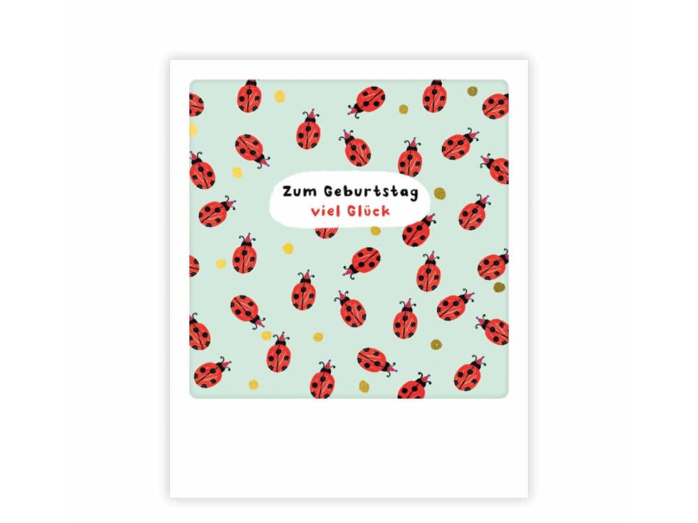 postkarte-polaroid-geschenk-karte-zum-geburtstag-viel-glueck-marienkaefer