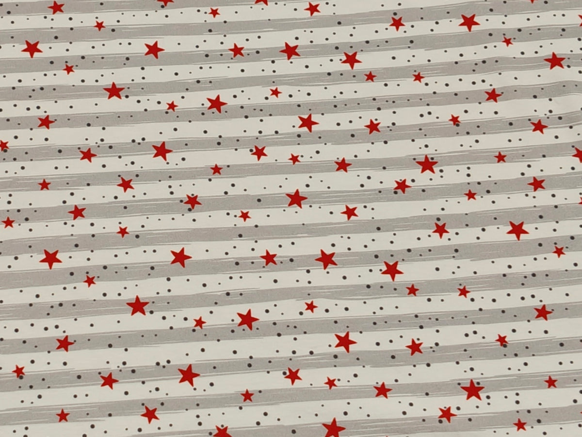 Jersey Stoff - Stars & Stripes grau