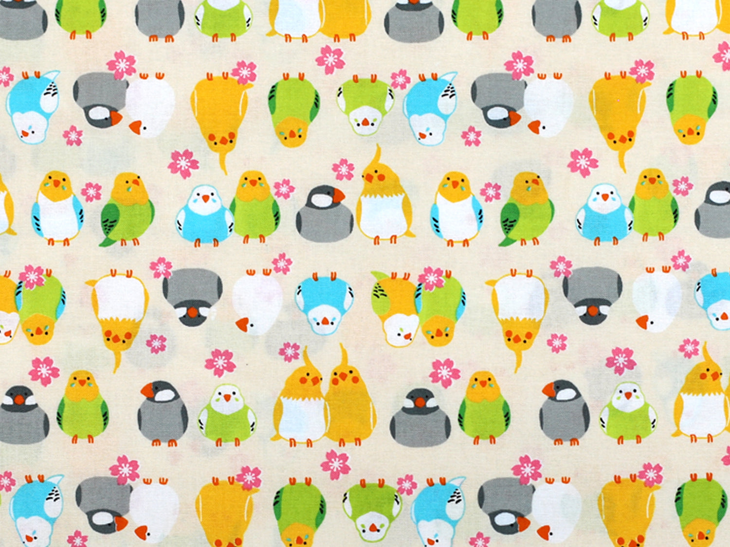 Baumwolle Stoff Patchworkstoff Wellensittich online kaufen