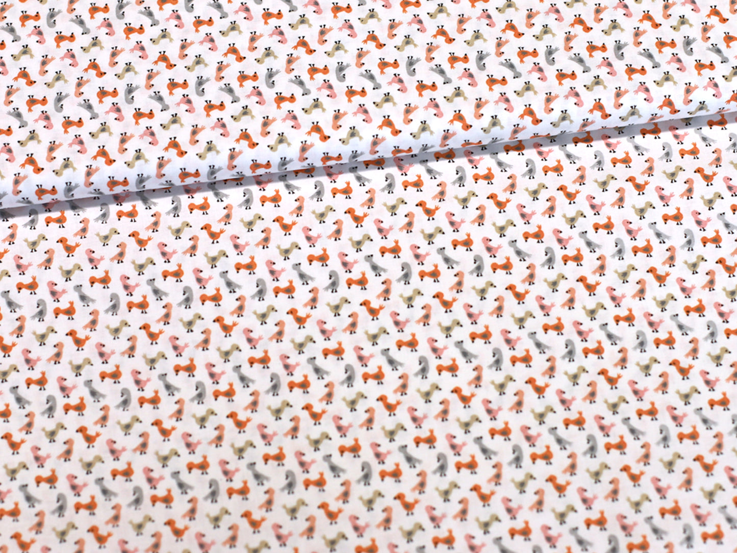 Cotton Fabric - Dusk Till Dawn Moonlit - Witching Hour