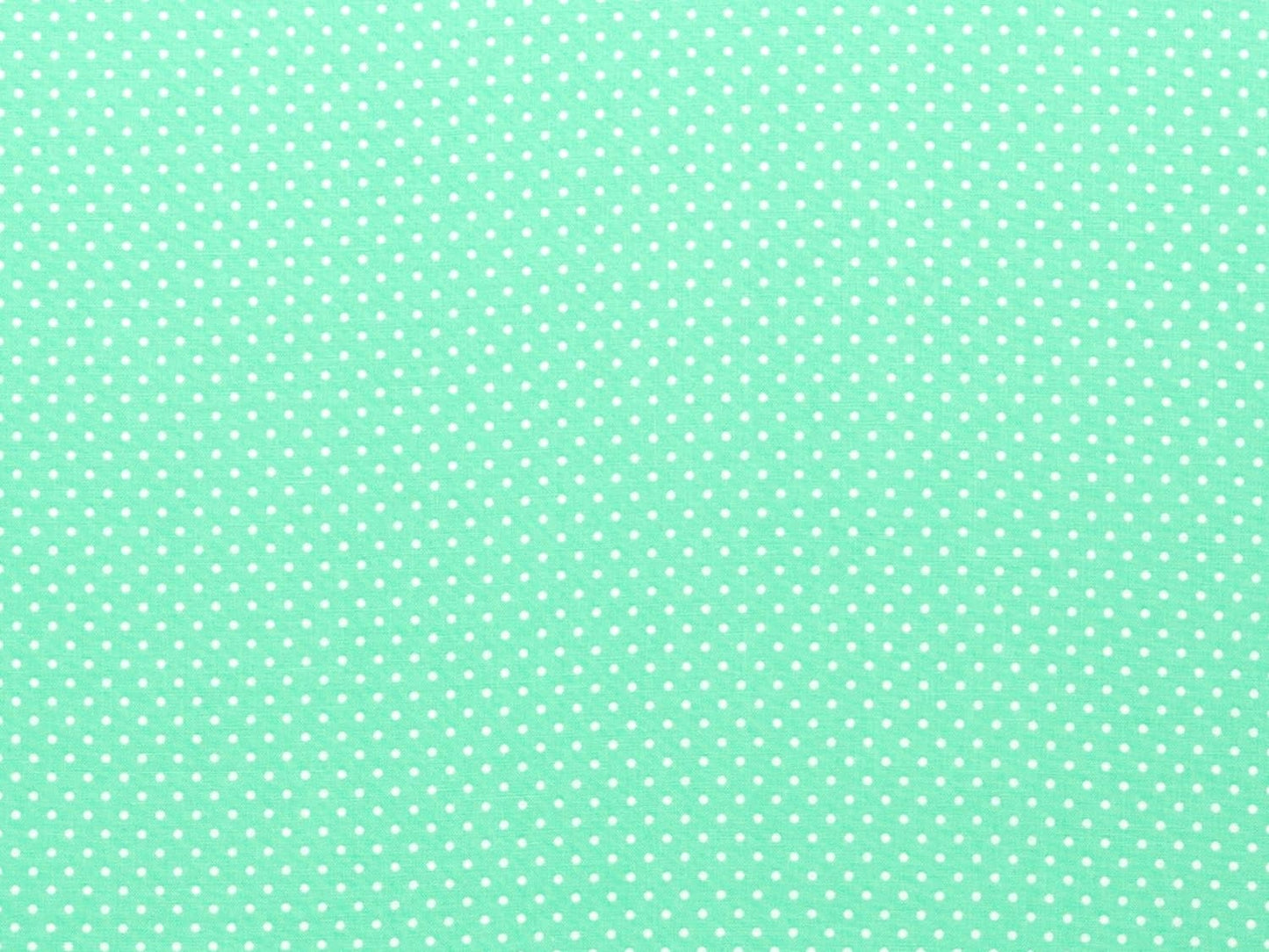 stoff-baumwolle-tupfen-punkte-puenktchen-2-mm-swafing-judith-100-261-mint-gruen-hell