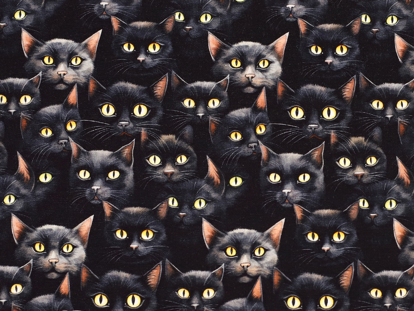 French Terry - Black Cat