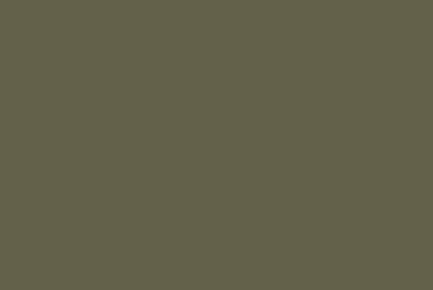 stoff-jackenstoff-regenmantel-wasserabweisend-uni-khaki-2