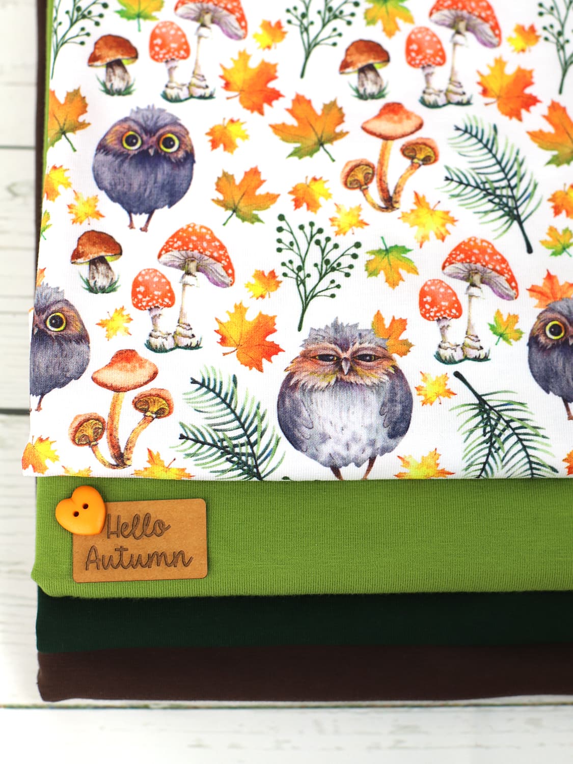 stoff-jersey-baumwolle-baumwolljersey-kathi-kunterbunt-herbst-wald-waldfreunde-eule-owl-pilze-blaetter-3
