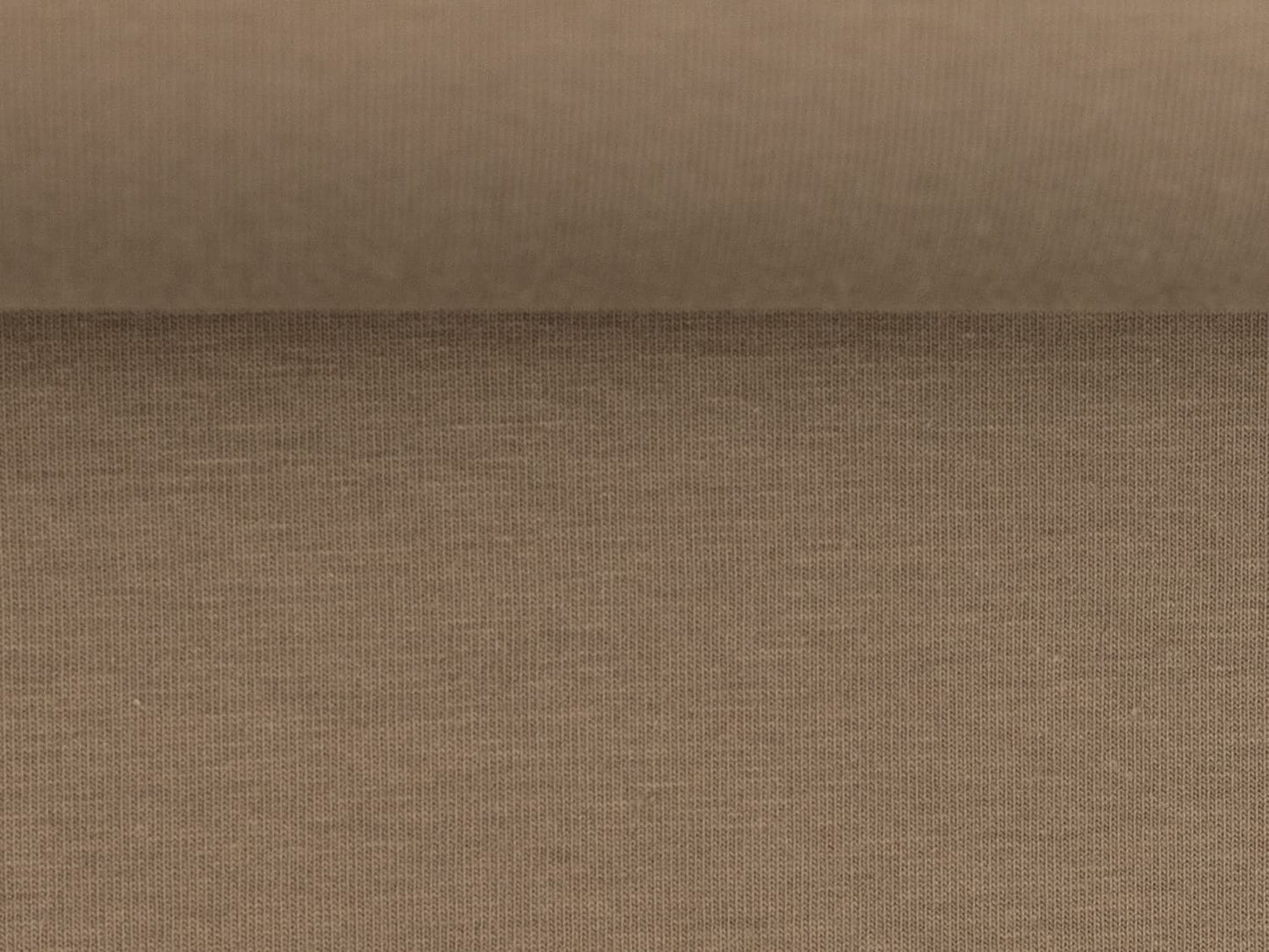 stoff-jersey-baumwolle-baumwolljersey-swafing-vanessa-herbst-winter-21-22-einfarbig-uni-aschbraun-2