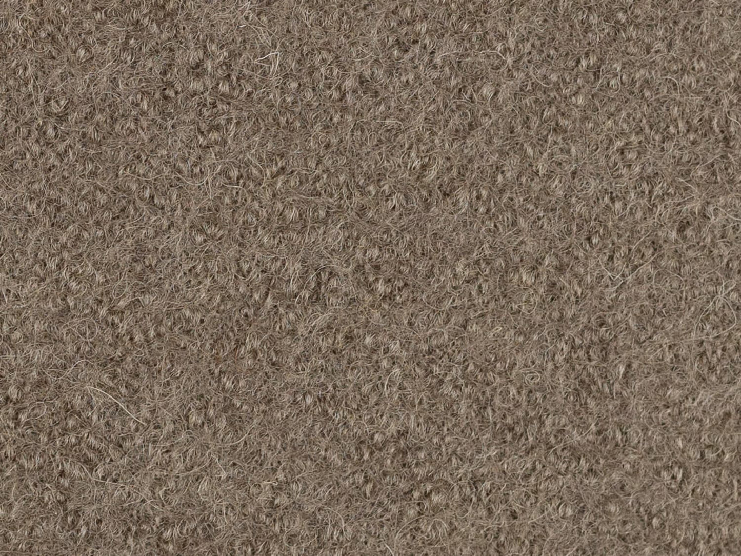 stoff-walk-walkloden-wolle-wollstoff-schurwolle-gekocht-swafing-naomi-uni-dunkles-beige-2