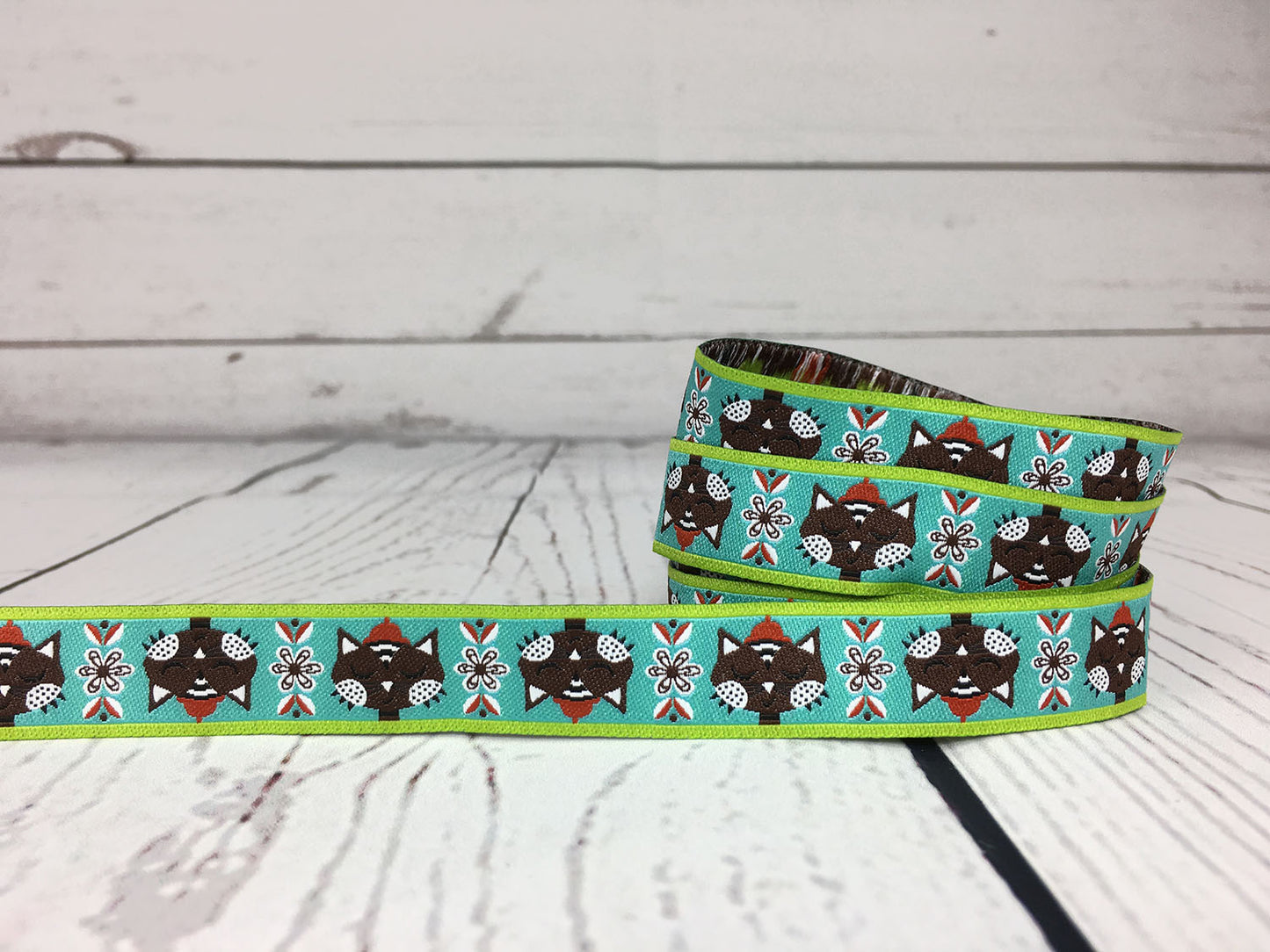 webband-farbenmix-katze-1