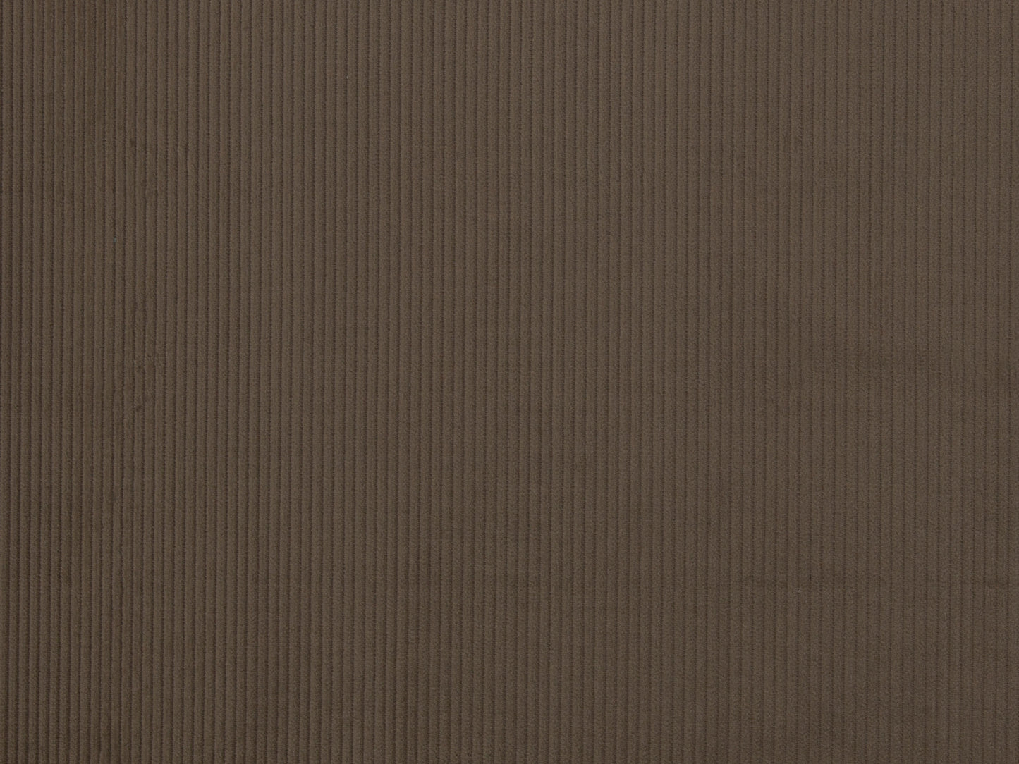 Breitcord Cord Stoff - schlamm