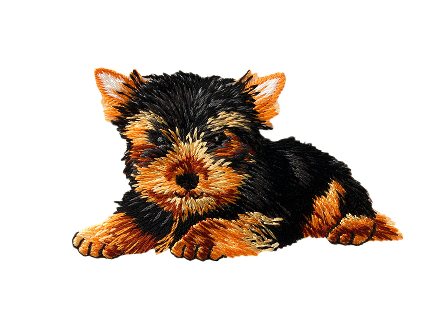 applikation-aufb-gler-hund-braun-schwarz