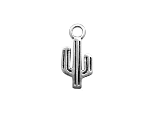 charm-anhaenger-silber-farben-kaktus