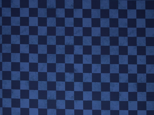 french-terry-sk8-blau-kariert