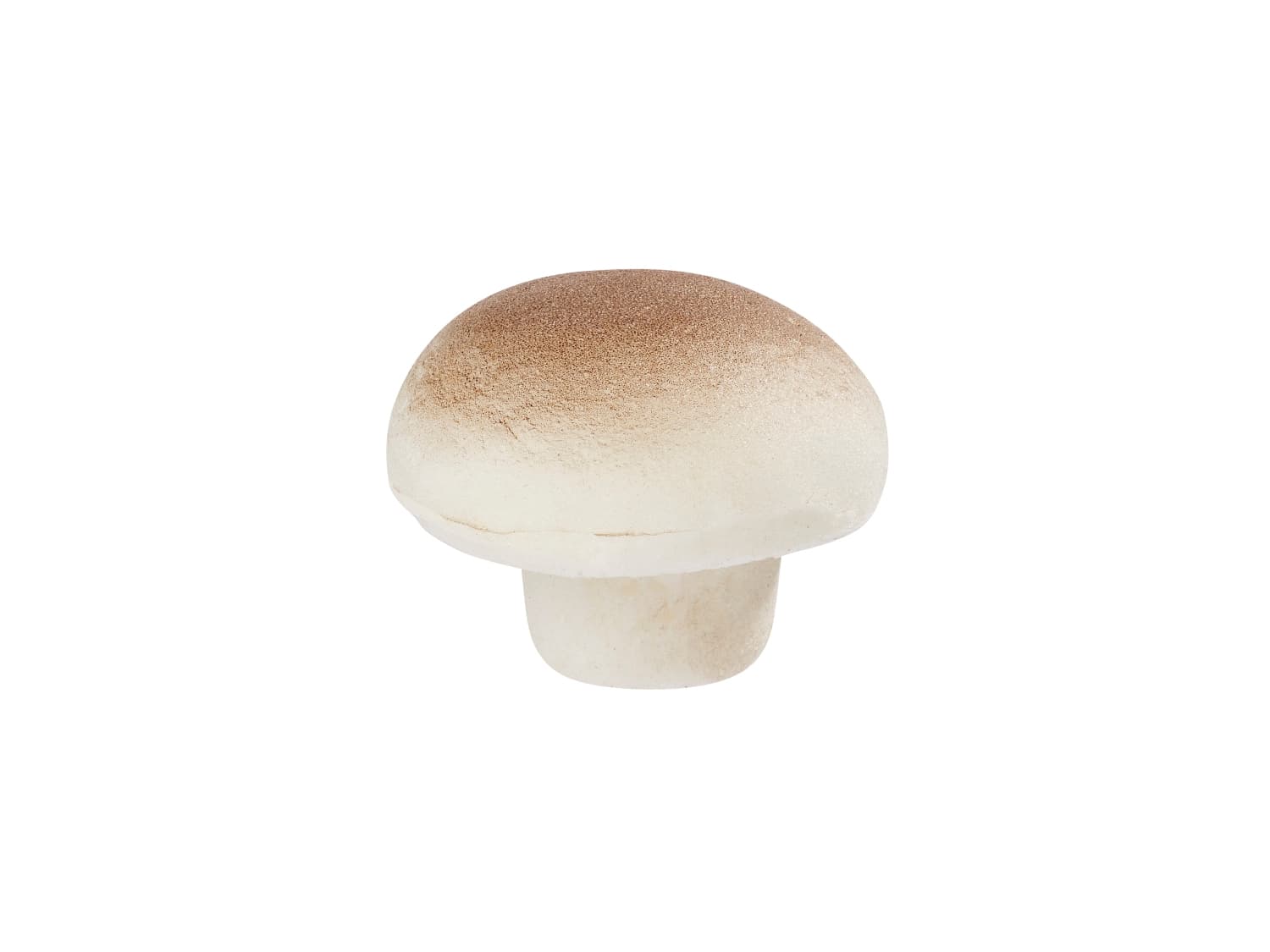 pilz-2-5-cm-hobbyfun-3865583