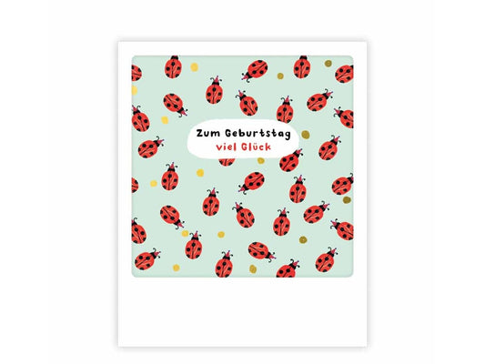 postkarte-polaroid-geschenk-karte-zum-geburtstag-viel-glueck-marienkaefer