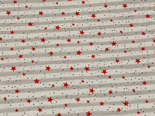 Jersey Stoff - Stars & Stripes grau