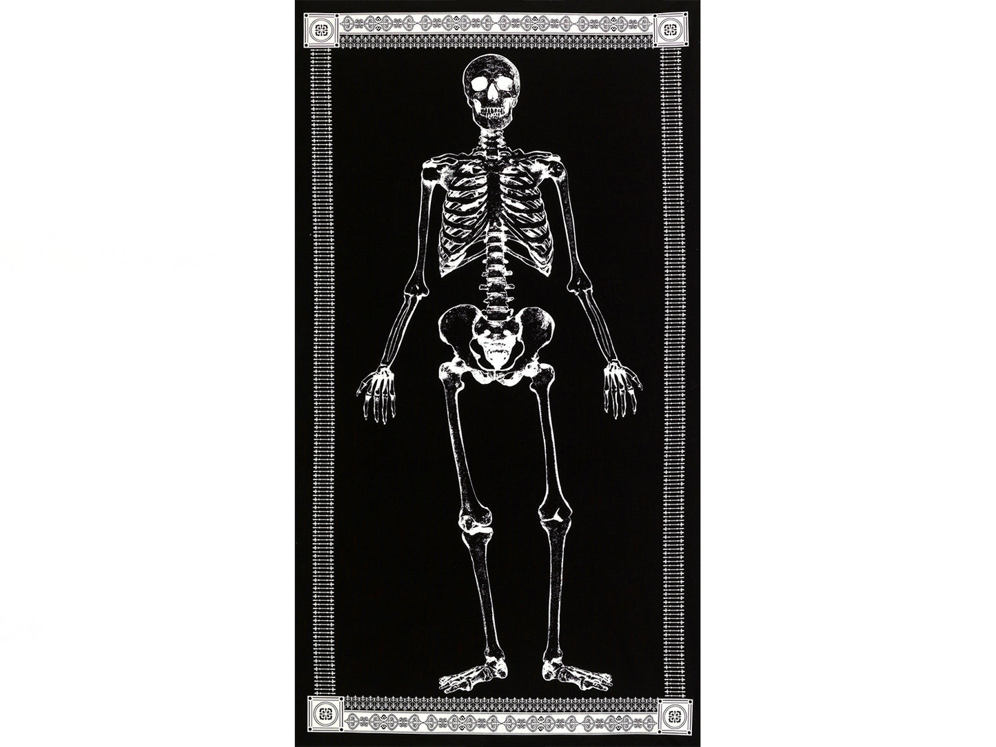 stoff-baumwolle-mr-bones