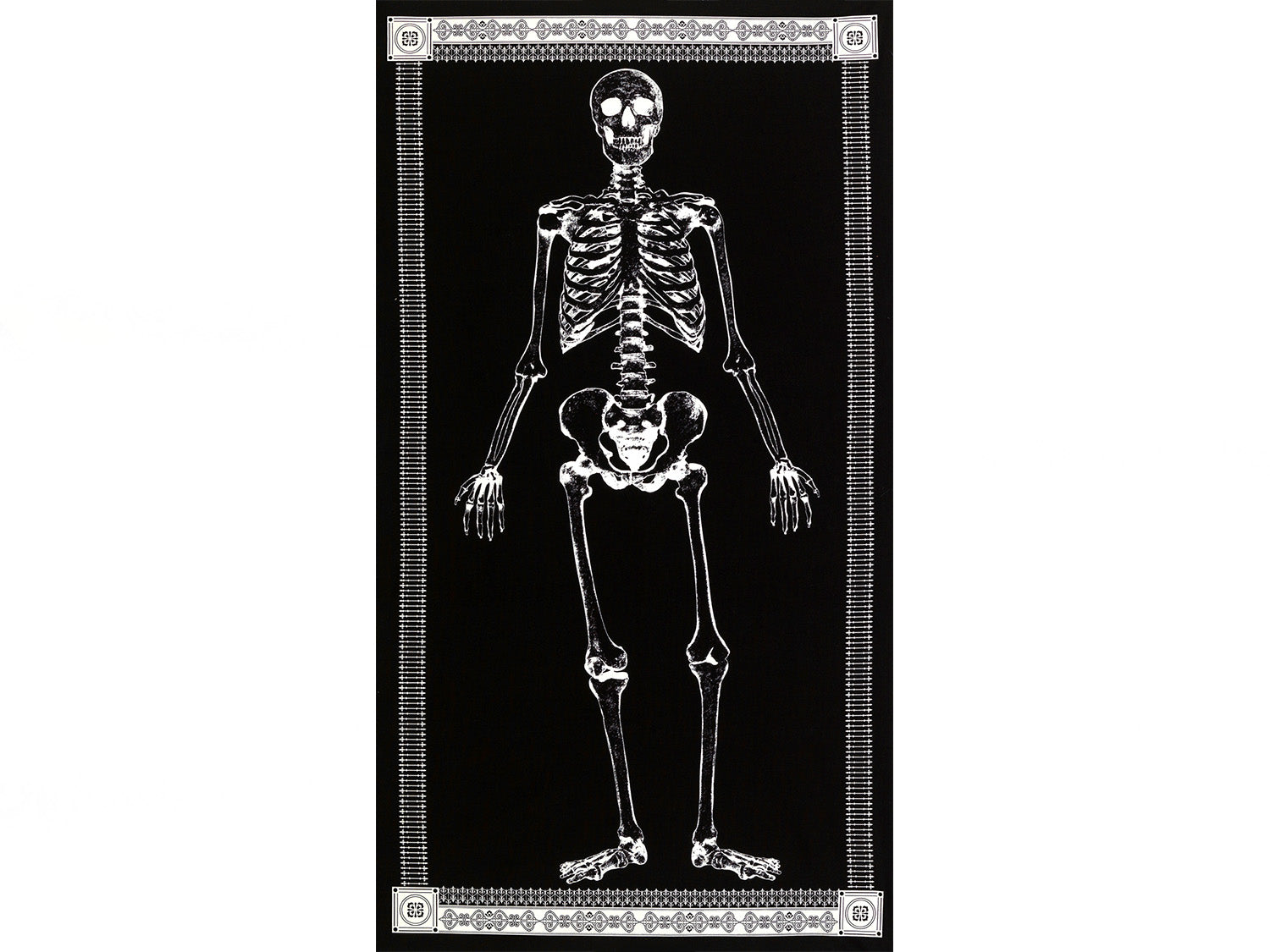 stoff-baumwolle-mr-bones