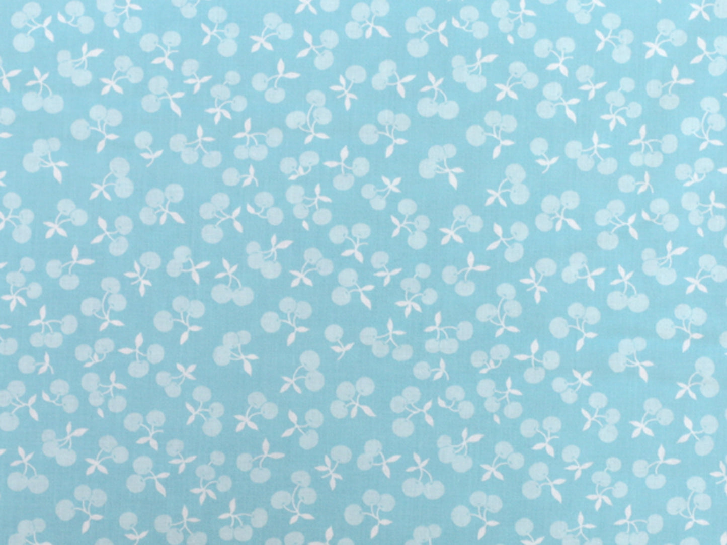 Cotton Fabric - Dusk Till Dawn Moonlit - Witching Hour