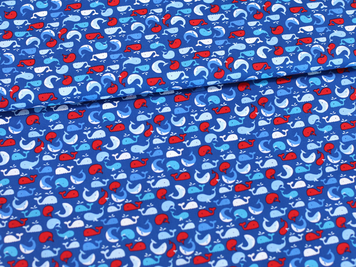 Cotton Fabric - Dusk Till Dawn Moonlit - Witching Hour