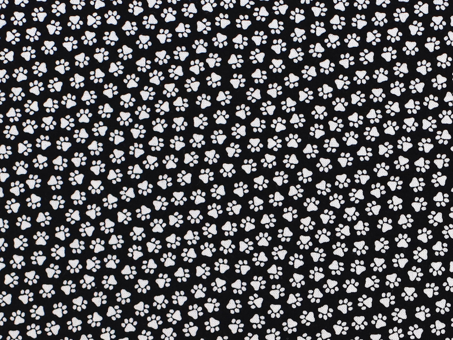 Cotton Fabric - Dusk Till Dawn Moonlit - Witching Hour