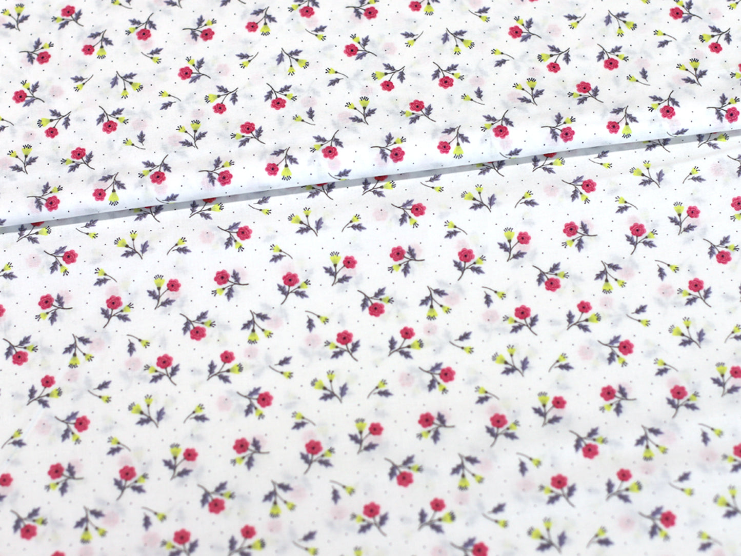 Tissu en coton - Tous les dames emballés