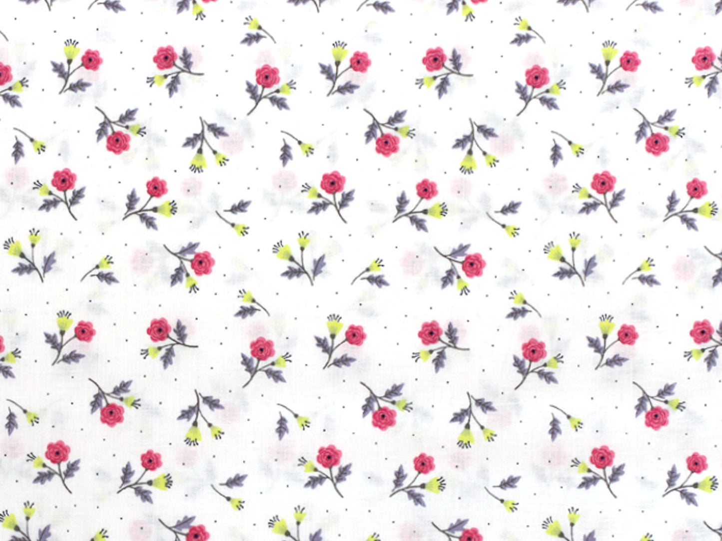 Tissu en coton - Tous les dames emballés