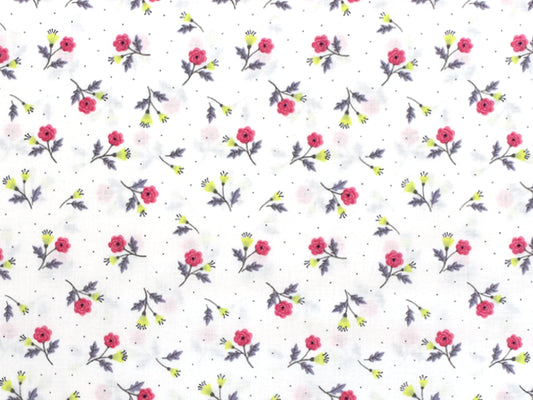 Tissu en coton - Tous les dames emballés