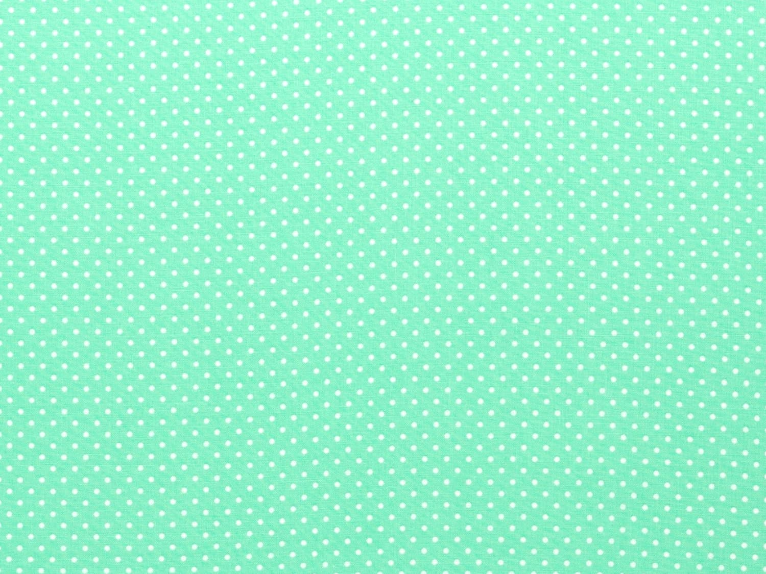 stoff-baumwolle-tupfen-punkte-puenktchen-2-mm-swafing-judith-100-261-mint-gruen-hell