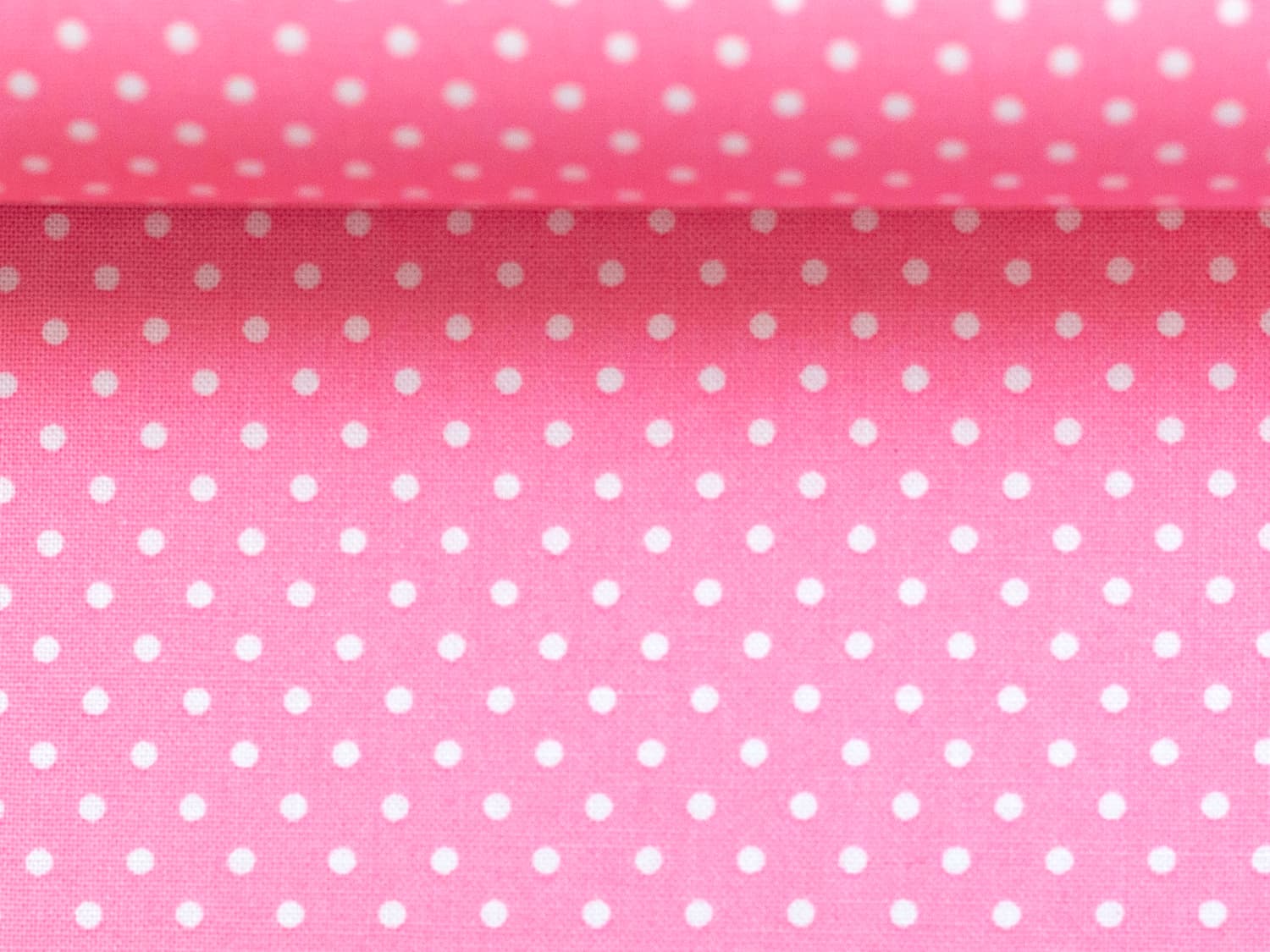 stoff-baumwolle-tupfen-punkte-puenktchen-2-mm-swafing-judith-100-432-rosa-2