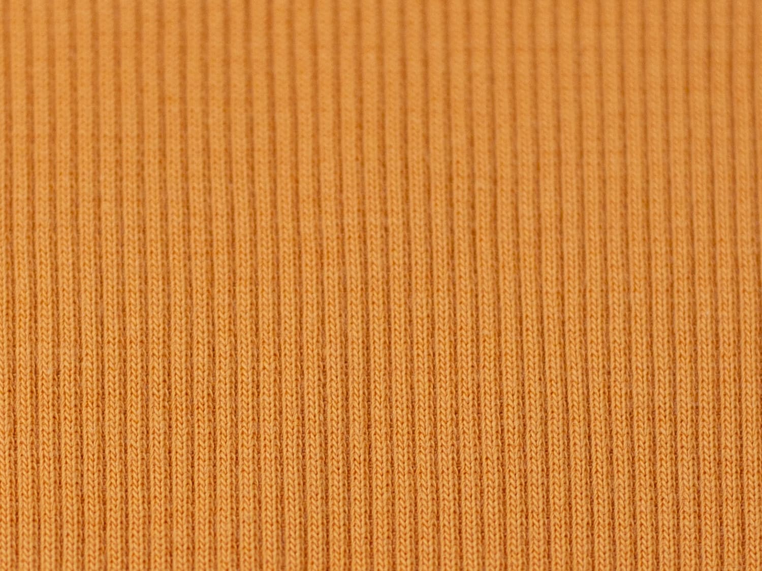 stoff-buendchen-buendchenstoff-ripp-rippbuendchen-tessa-swafing-herbst-winter-2023-23-butternut