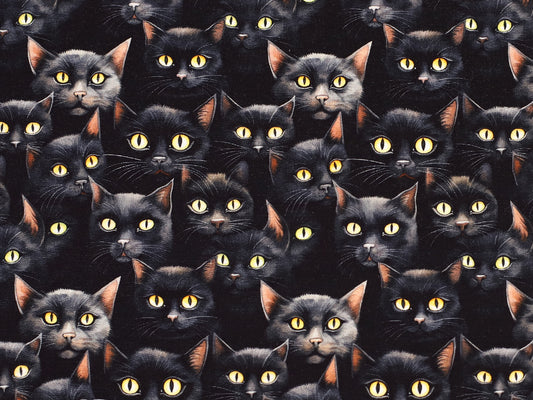 French Terry - Black Cat