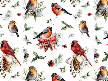 stoff-french-terry-sommersweat-sweat-baumwolle-kathi-kunterbunt-herbst-winter-weihnachten-rotkehlchen-vogel-little-bird-tannenzapfen-ilex-merry-christmas-2