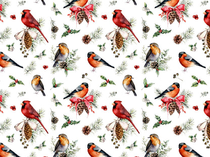 stoff-french-terry-sommersweat-sweat-baumwolle-kathi-kunterbunt-herbst-winter-weihnachten-rotkehlchen-vogel-little-bird-tannenzapfen-ilex-merry-christmas