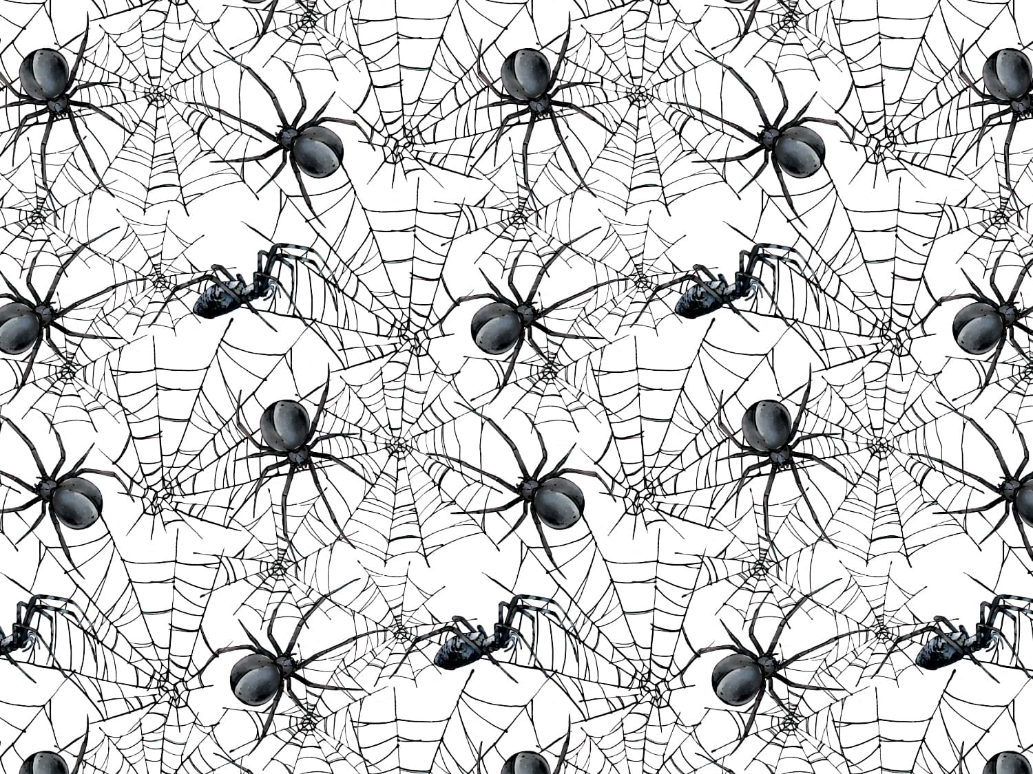 stoff-french-terry-sommersweat-unangeraut-halloween-herbst-spinne-spinnennetz-3