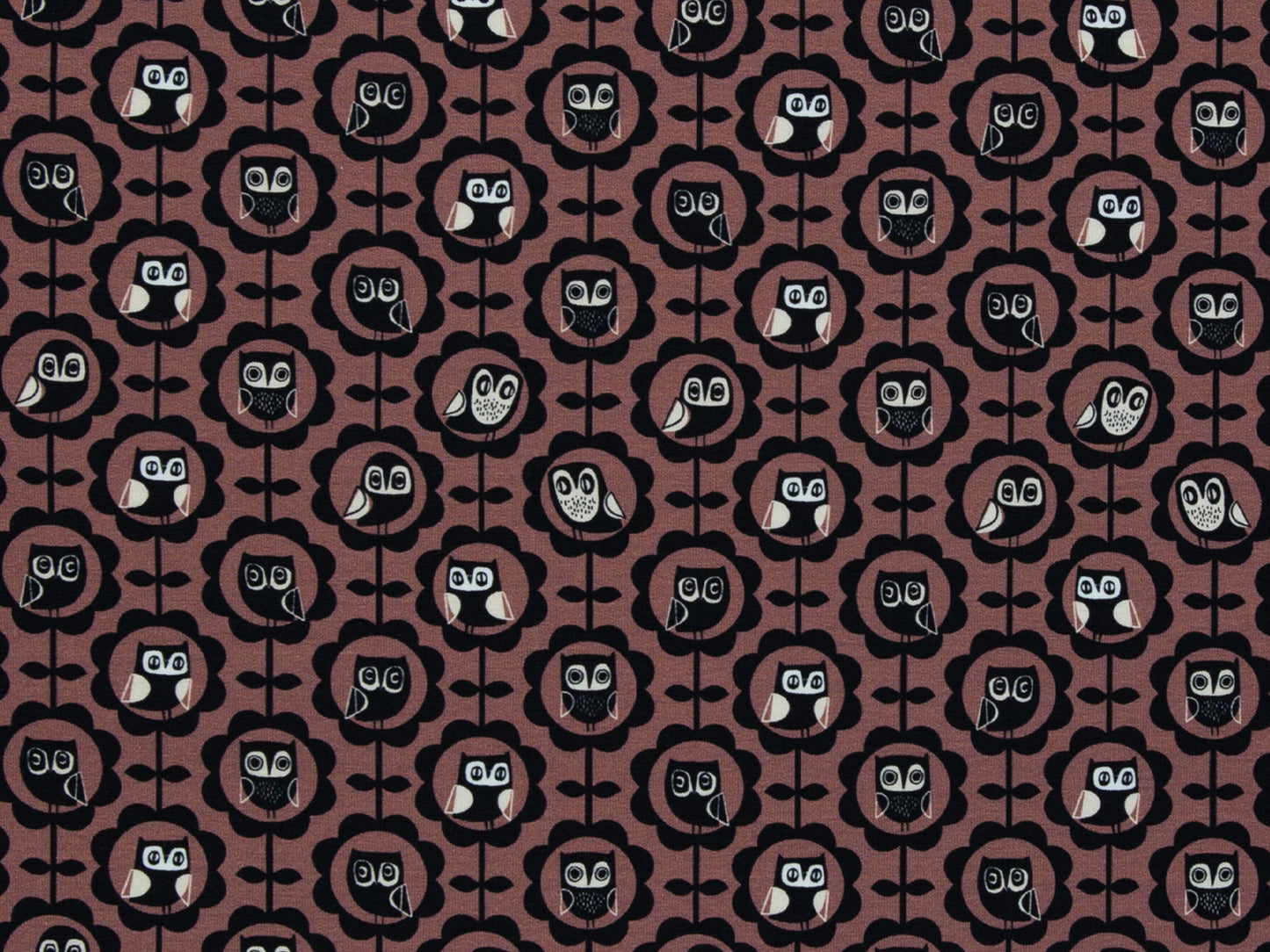 French Terry - Joyeux Paresseux - Paresseux