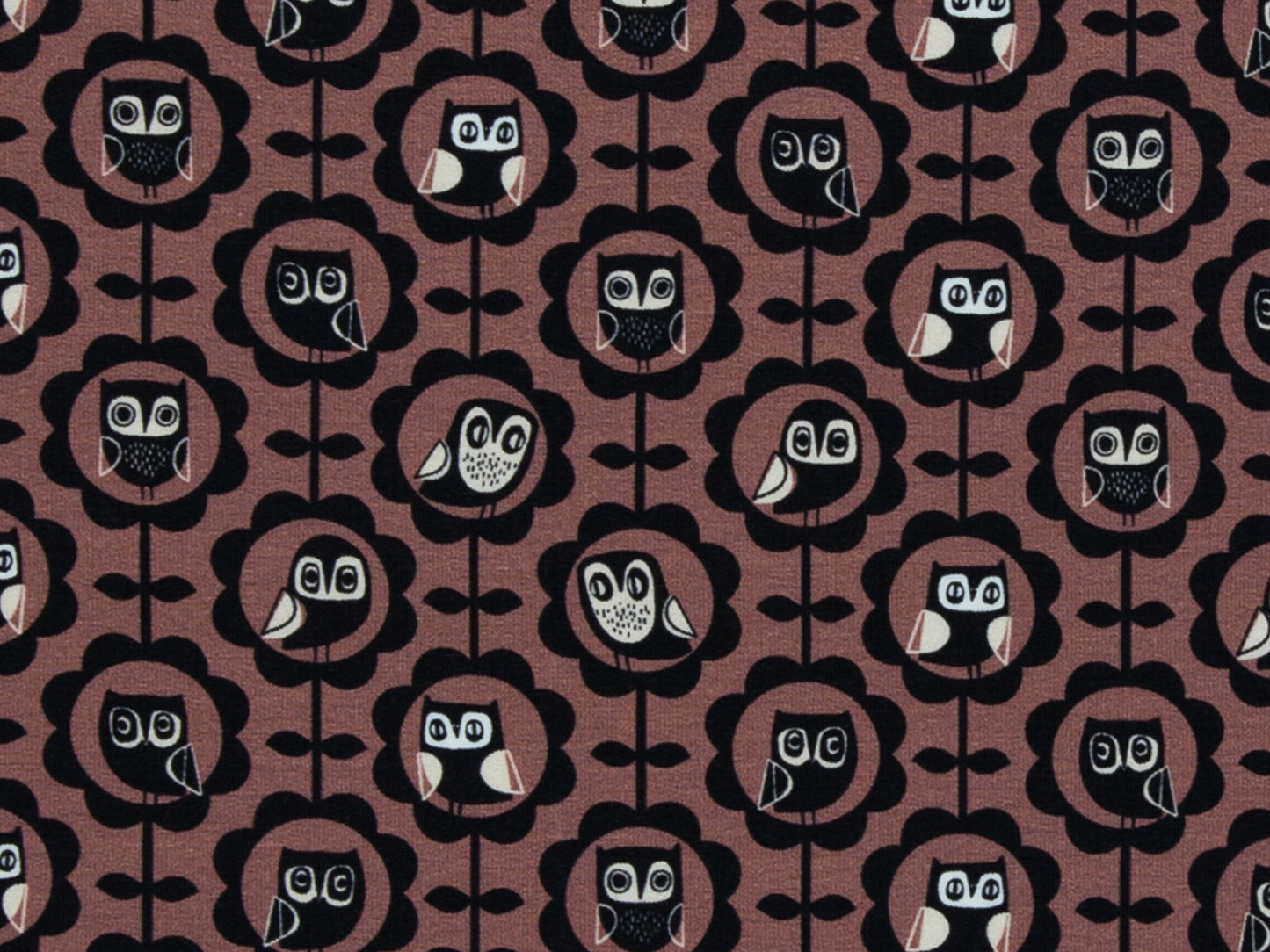 French Terry - Joyeux Paresseux - Paresseux