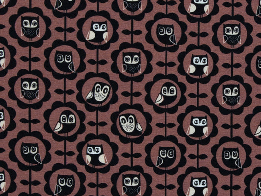 French Terry - Joyeux Paresseux - Paresseux