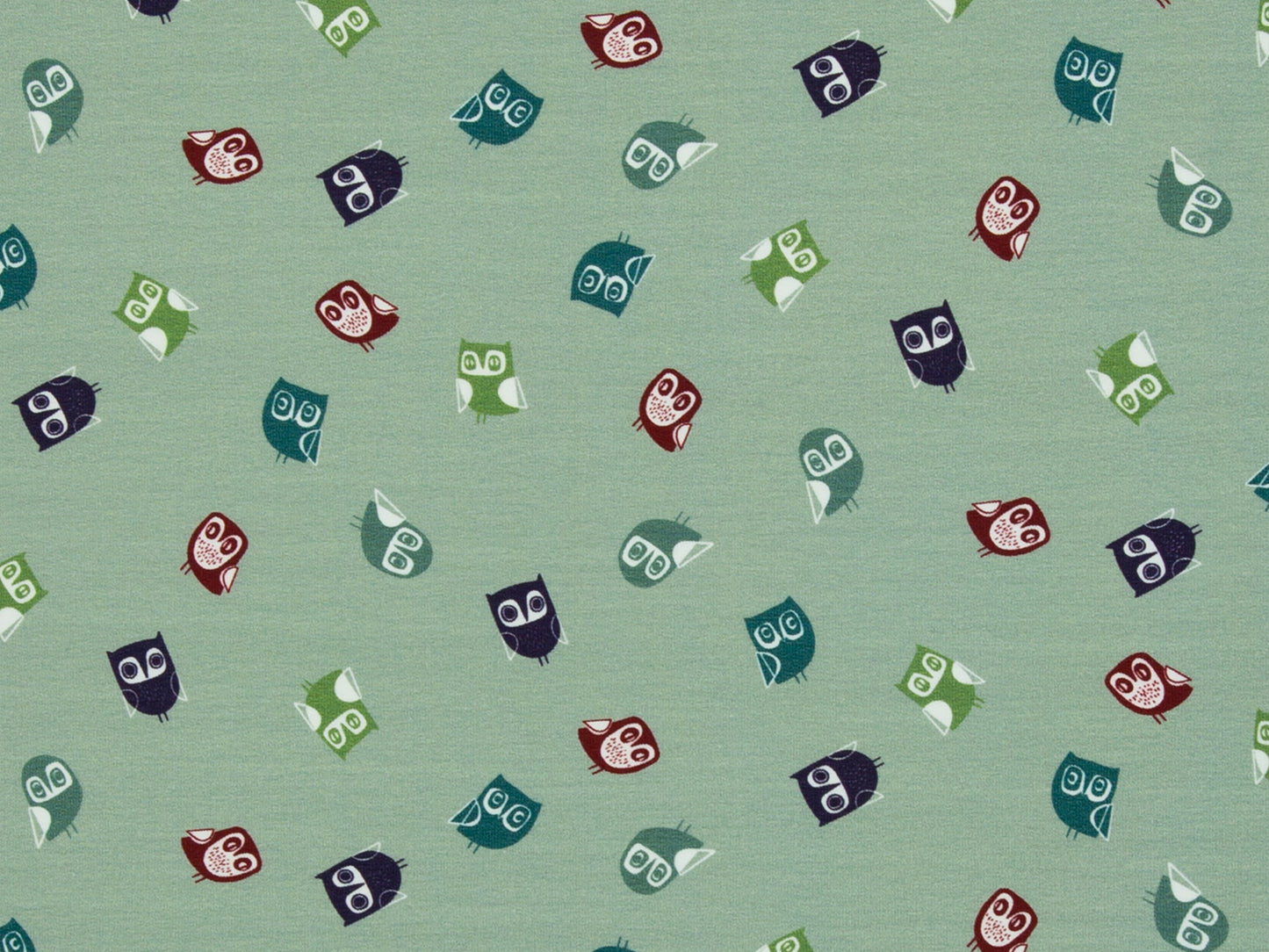 French Terry - Joyeux Paresseux - Paresseux