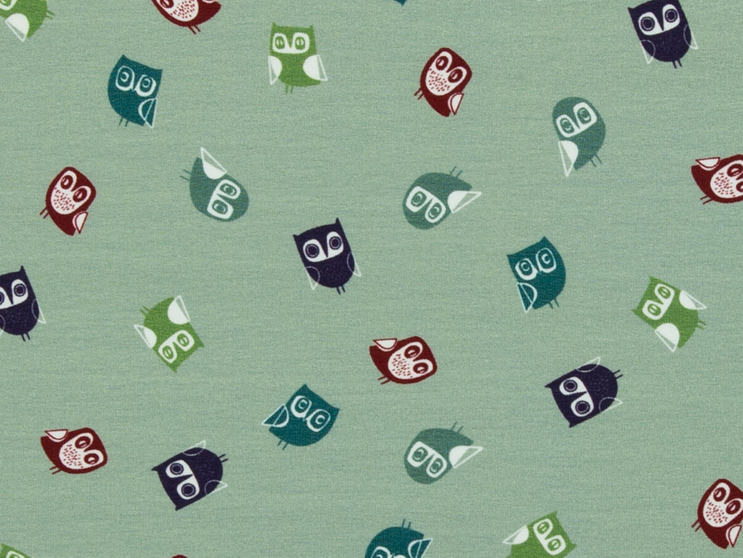 French Terry - Joyeux Paresseux - Paresseux