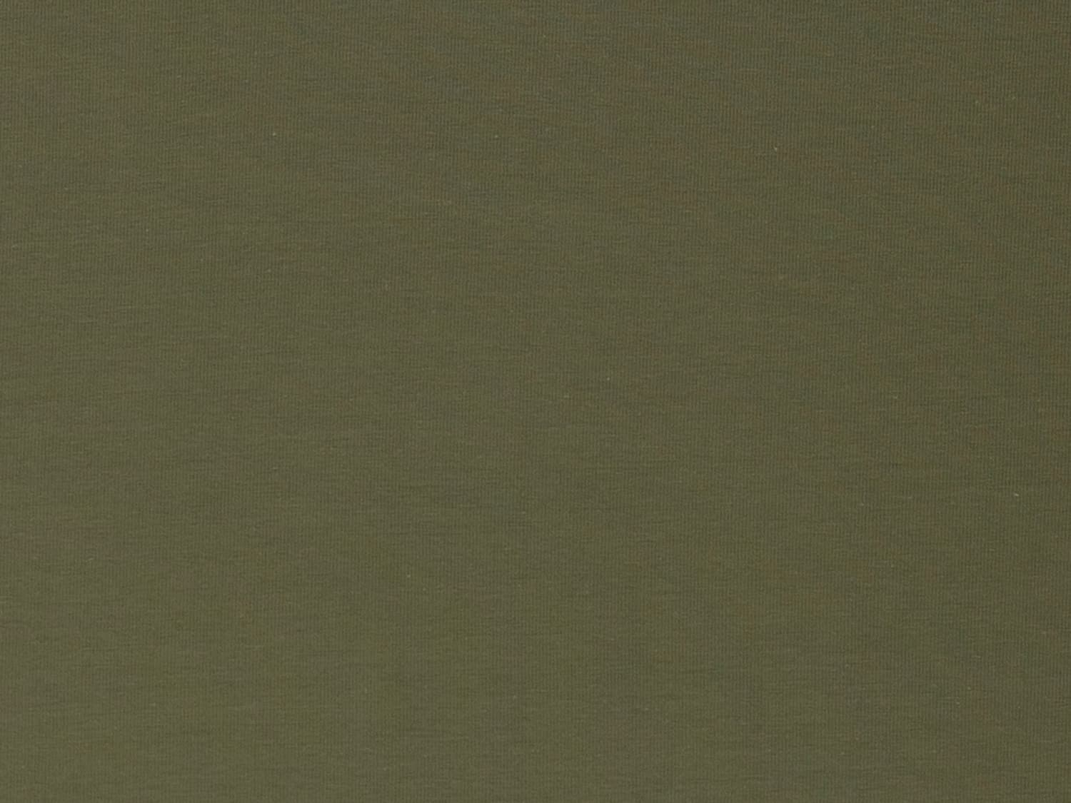 stoff-french-terry-uni-einfarbig-molly-olive
