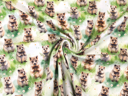 Jersey Stoff - Quokka