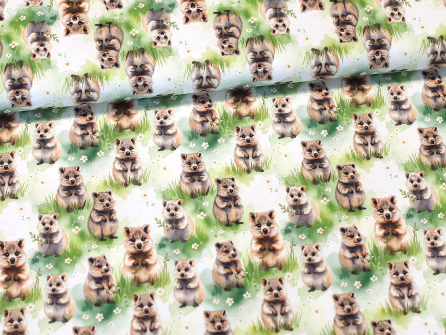 Jersey Stoff - Quokka