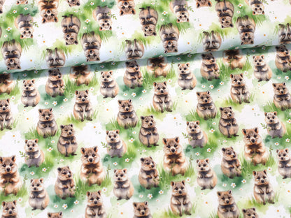 Jersey Stoff - Quokka