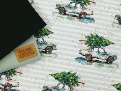 Jersey Stoff - Driving Home