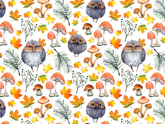 stoff-jersey-baumwolle-baumwolljersey-kathi-kunterbunt-herbst-wald-waldfreunde-eule-owl-pilze-blaetter-2