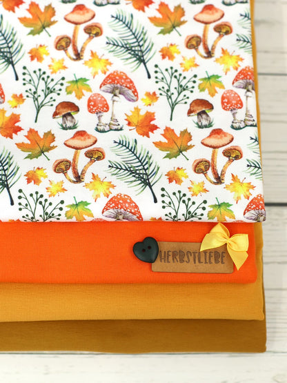 stoff-jersey-baumwolle-baumwolljersey-kathi-kunterbunt-herbst-wald-waldfreunde-eule-owl-pilze-blaetter-kombi-2